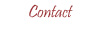 Contact Details